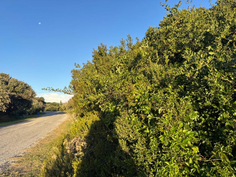 Vacant land for sale in Boknesstrand - 1KO1707890 Vacant land for sale in Boknesstrand - 1KO1707890