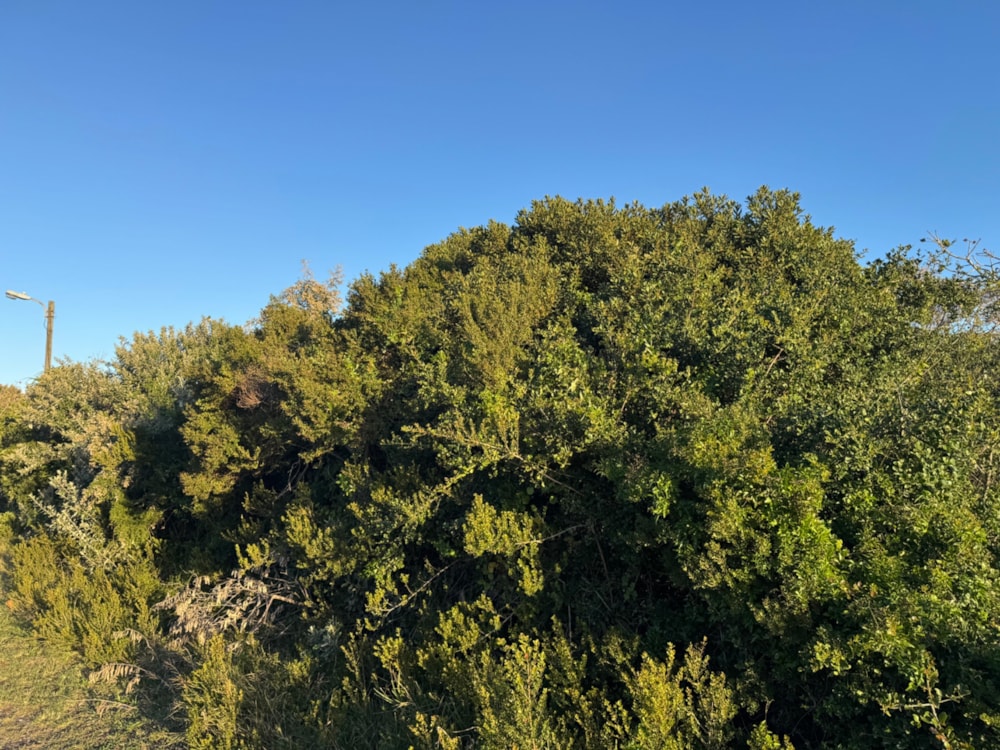 Vacant land for sale in Boknesstrand - 1KO1707890 Vacant land for sale in Boknesstrand - 1KO1707890