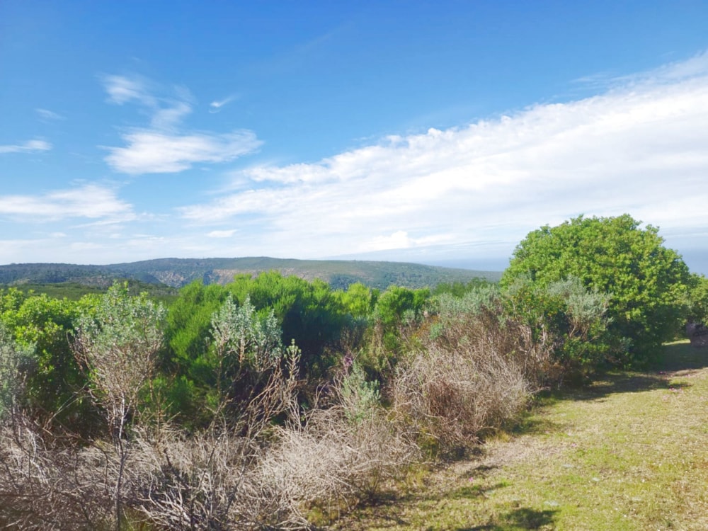 Residential vacant land for sale in Pezula Private Estate - 1KC1064221