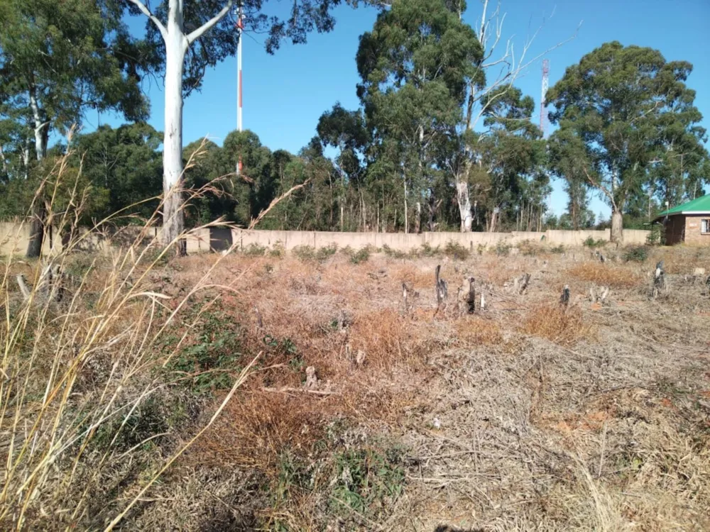 Vacant land sold in Dullstroom - 1DS1706110
