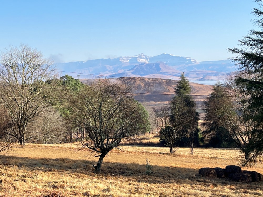 Vacant land for sale in Underberg - 1UB1708480 Vacant land for sale in Underberg - 1UB1708480