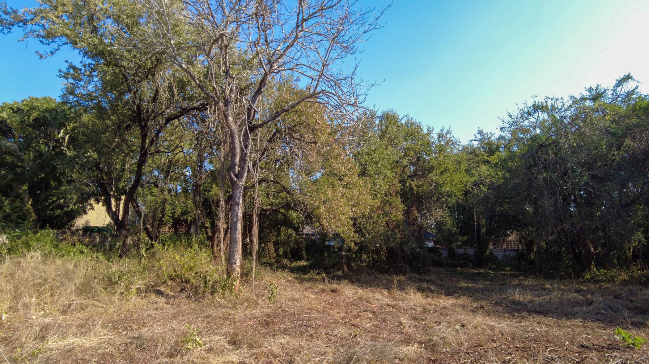 Vacant land for sale in Komatipoort - 1NK1706869