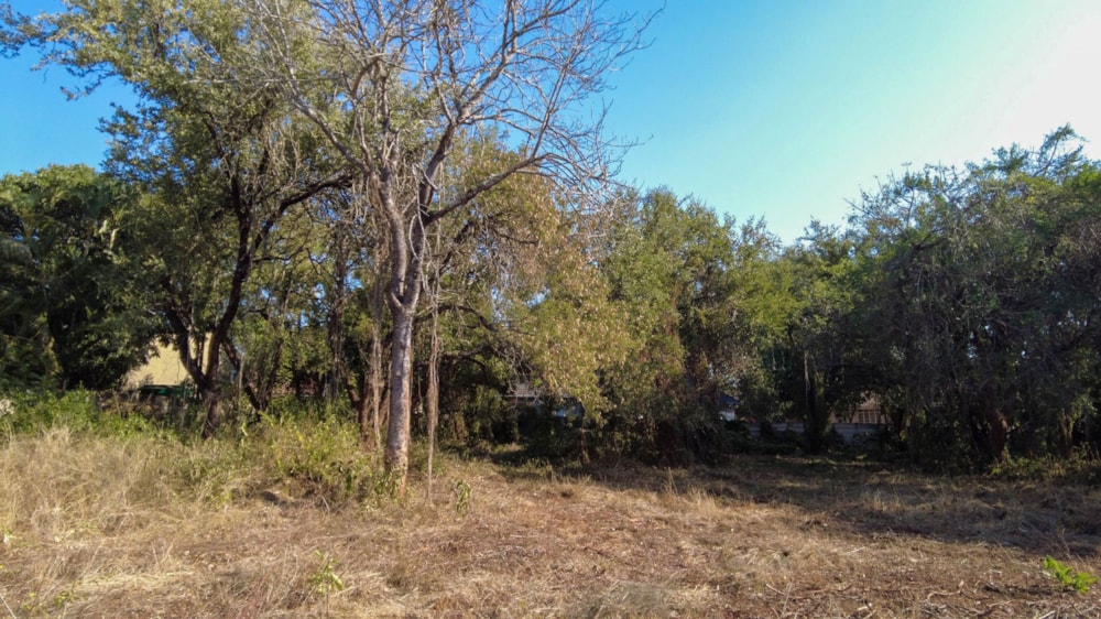 Vacant land for sale in Komatipoort - 1NK1706869 Vacant land for sale in Komatipoort - 1NK1706869