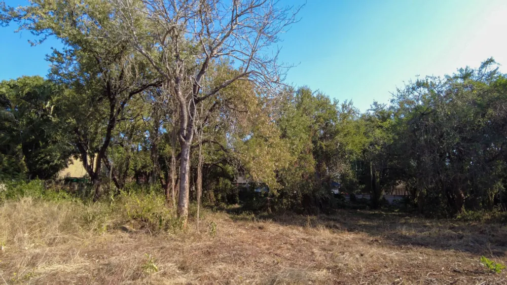 Vacant land for sale in Komatipoort - 1NK1706869 Vacant land for sale in Komatipoort - 1NK1706869
