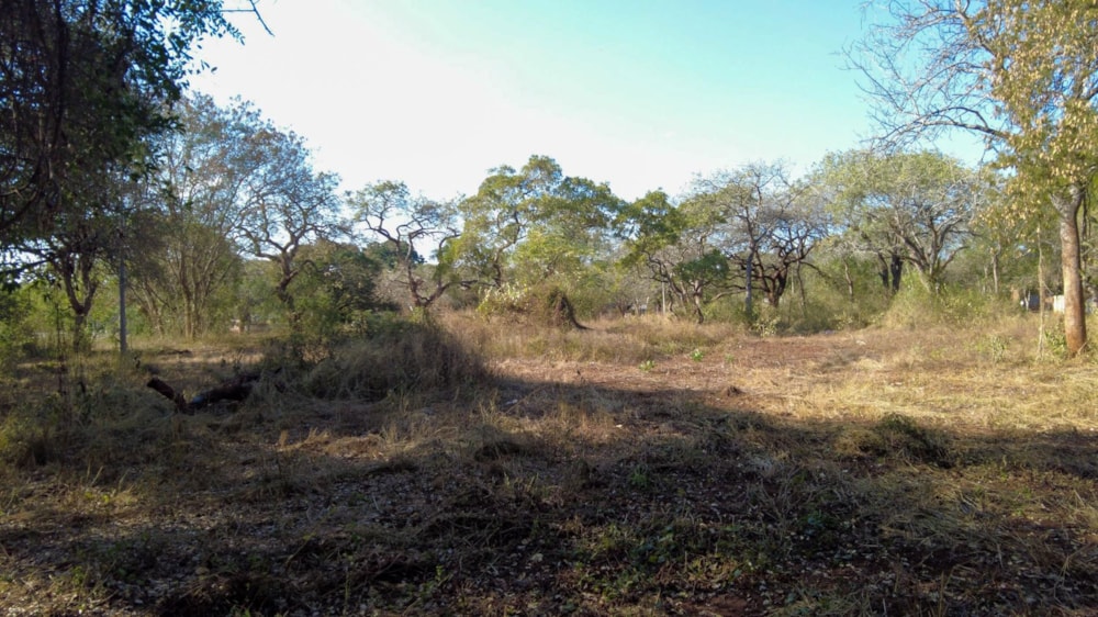 Vacant land for sale in Komatipoort - 1NK1706869 Vacant land for sale in Komatipoort - 1NK1706869