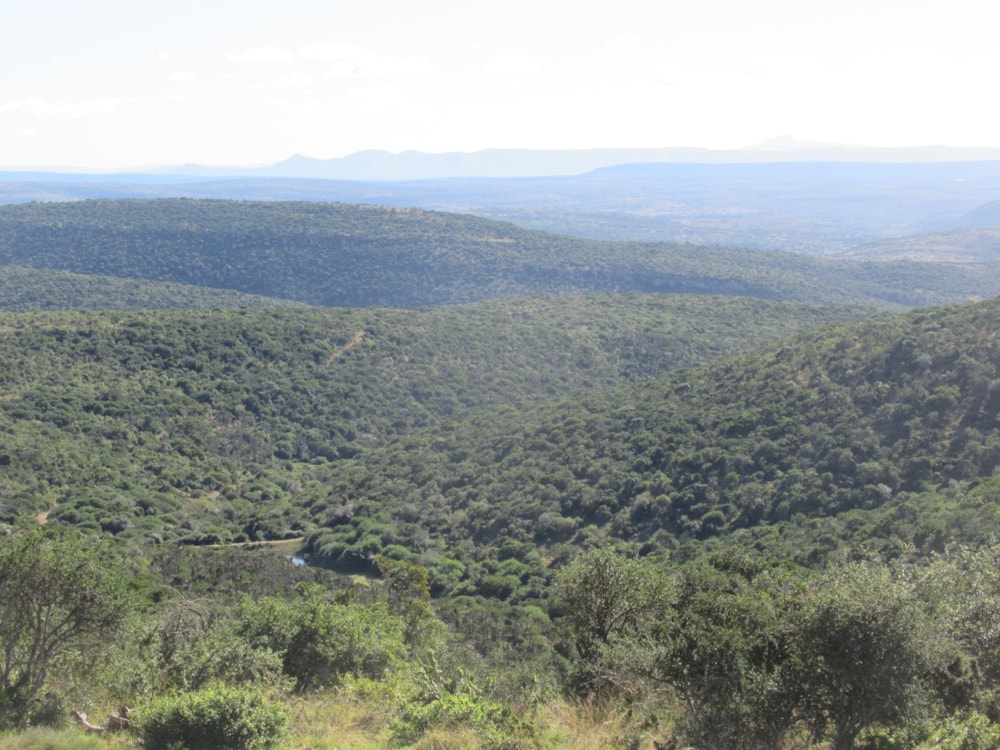 Game farm for sale in Grahamstown (Makhanda) - 1GC1703555