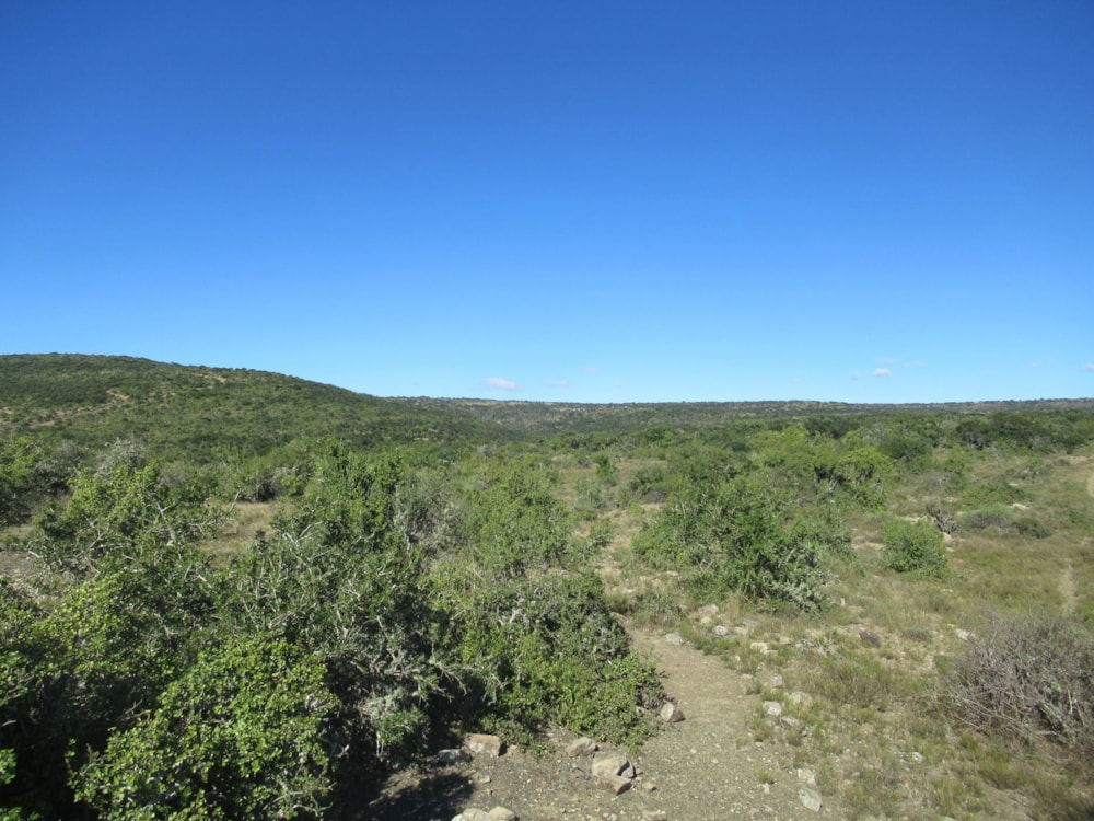 Game farm for sale in Grahamstown (Makhanda) - 1GC1703555