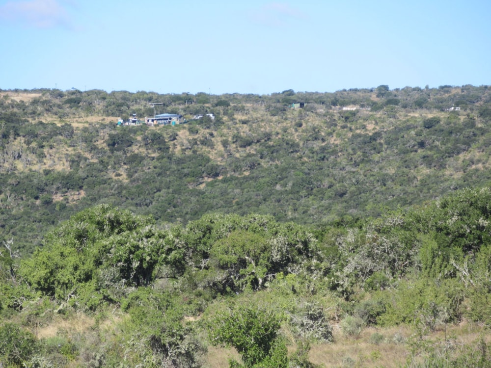 Game farm for sale in Grahamstown (Makhanda) - 1GC1703555