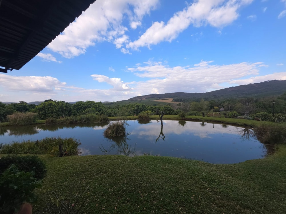 Lifestyle property for sale in Tzaneen Industrial - 1TA1706905 Lifestyle property for sale in Tzaneen Industrial - 1TA1706905