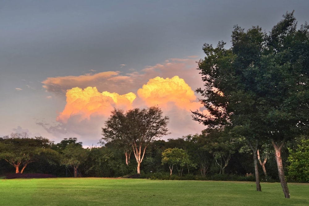 Double-storey house for sale in Saddlebrook Estate - MR1705158