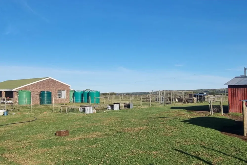 Smallholding sold in St Francis Bay Rural - 1SA1707899 Smallholding sold in St Francis Bay Rural - 1SA1707899