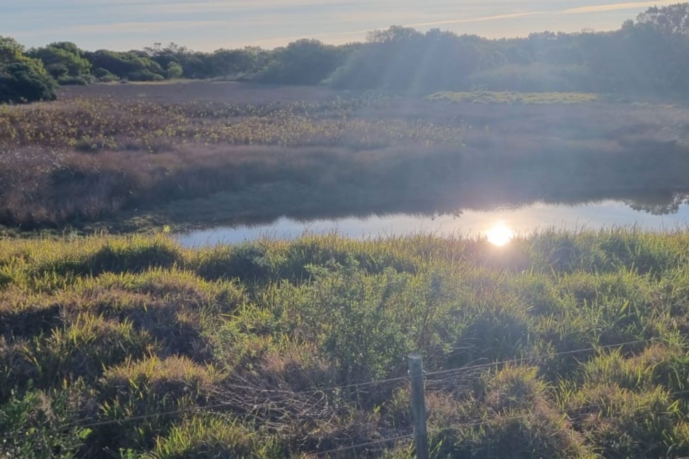 Smallholding for sale in St Francis Bay Rural - 1SA1707899 Smallholding for sale in St Francis Bay Rural - 1SA1707899