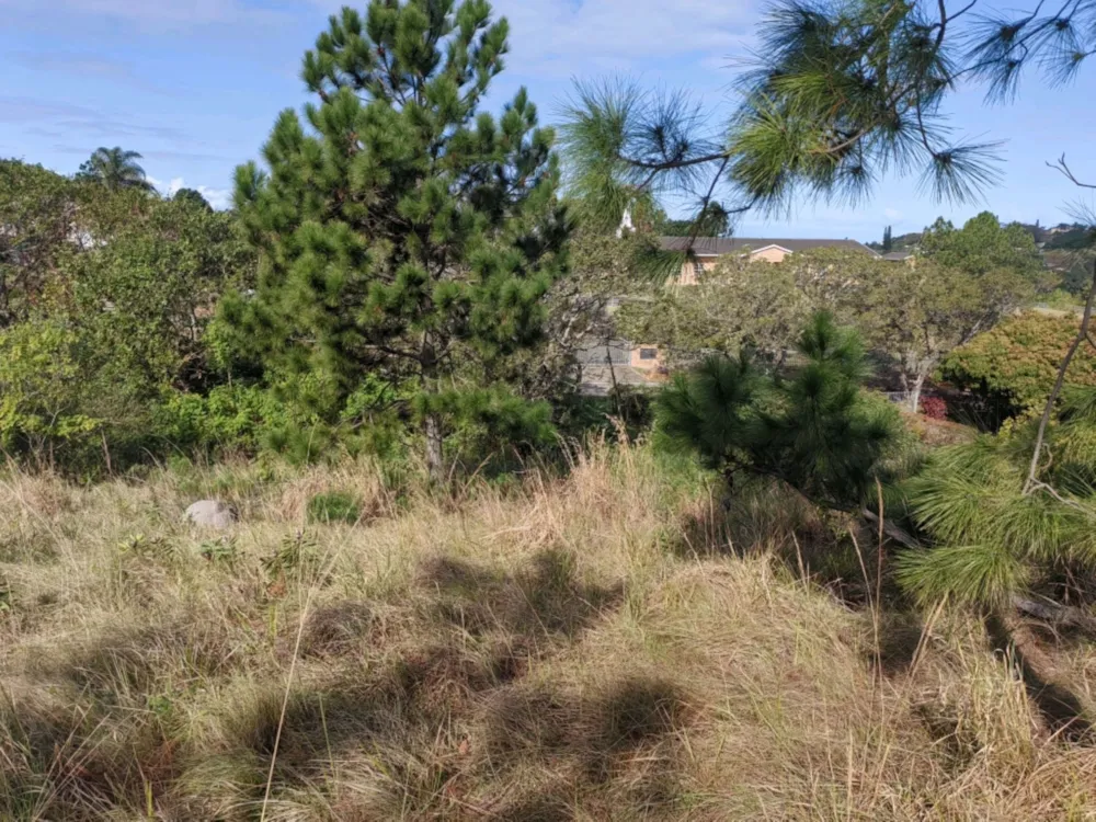 Residential vacant land for sale in Margate - 1PSH1708470 Residential vacant land for sale in Margate - 1PSH1708470