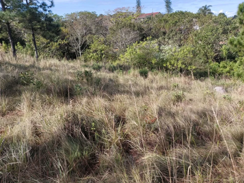 Residential vacant land for sale in Margate - 1PSH1708470 Residential vacant land for sale in Margate - 1PSH1708470