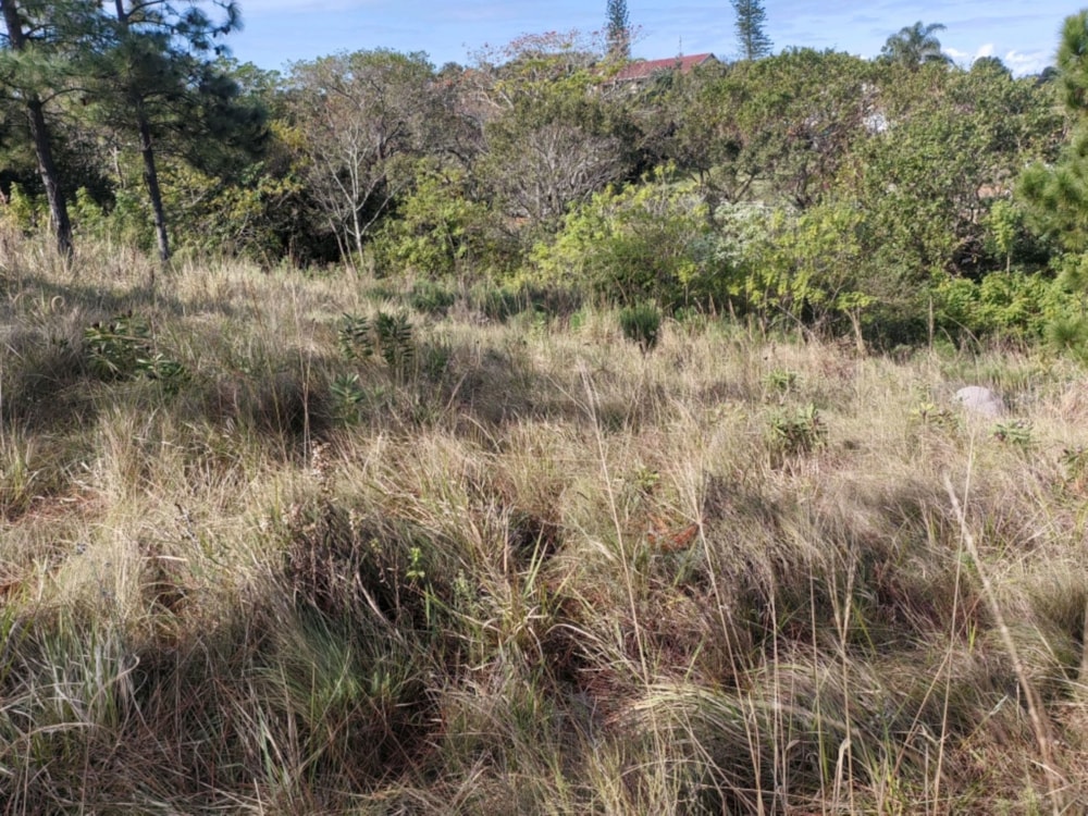 Residential vacant land for sale in Margate - 1PSH1708470