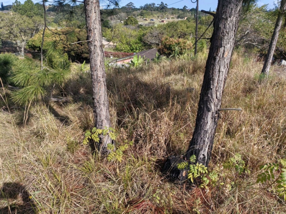 Residential vacant land for sale in Margate - 1PSH1708470