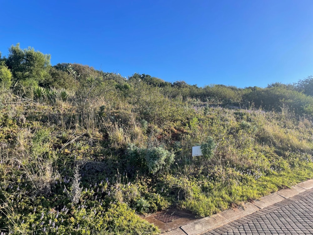 Residential vacant land for sale in Port Alfred - 1PF1751675