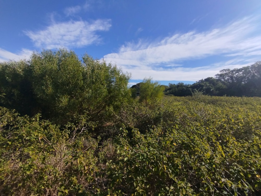 Vacant land for sale in Emerald Heights - 1PF1706591