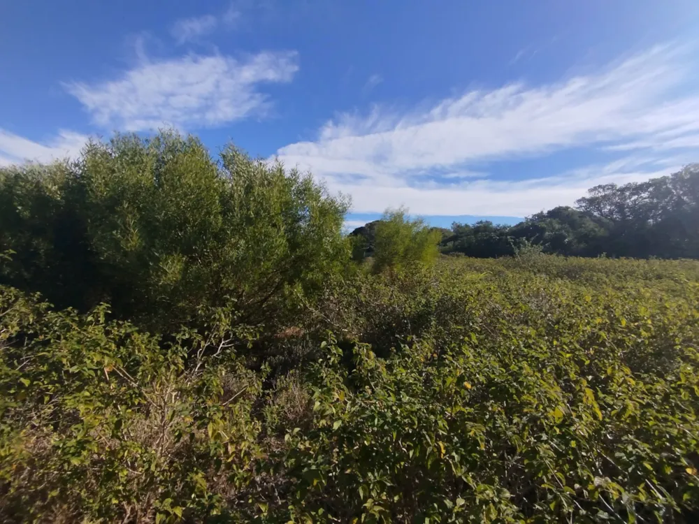 Vacant land for sale in Emerald Heights - 1PF1706591 Vacant land for sale in Emerald Heights - 1PF1706591