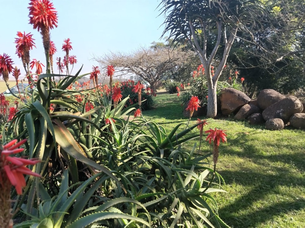 Vacant land for sale in Merrivale Heights - 1PM1708024