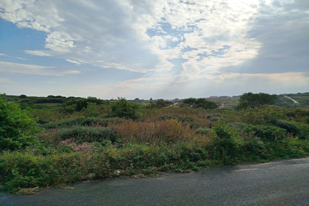 Vacant land for sale in Emerald Heights - 1PF1706588