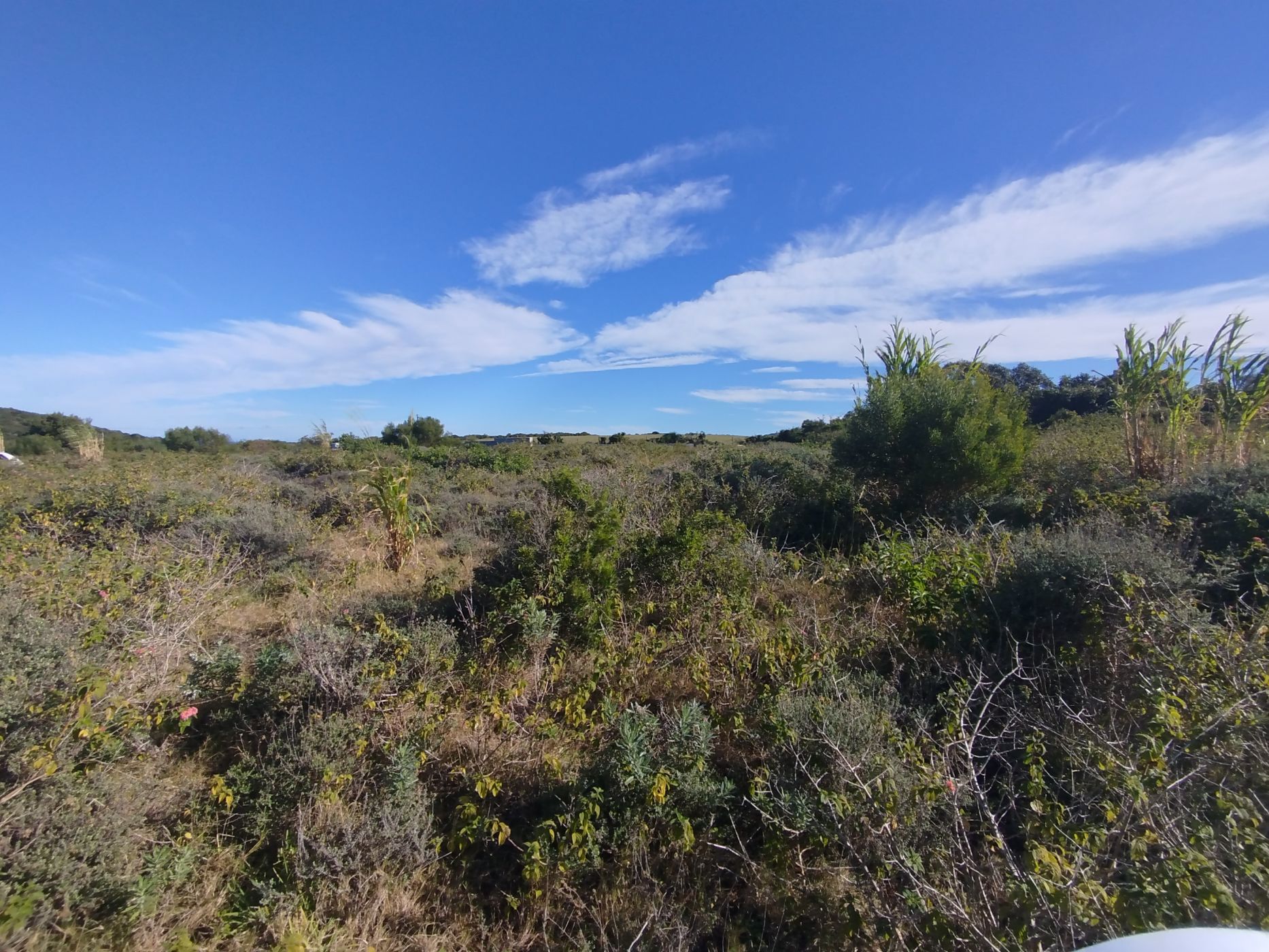 Vacant land for sale in Emerald Heights - 1PF1706566