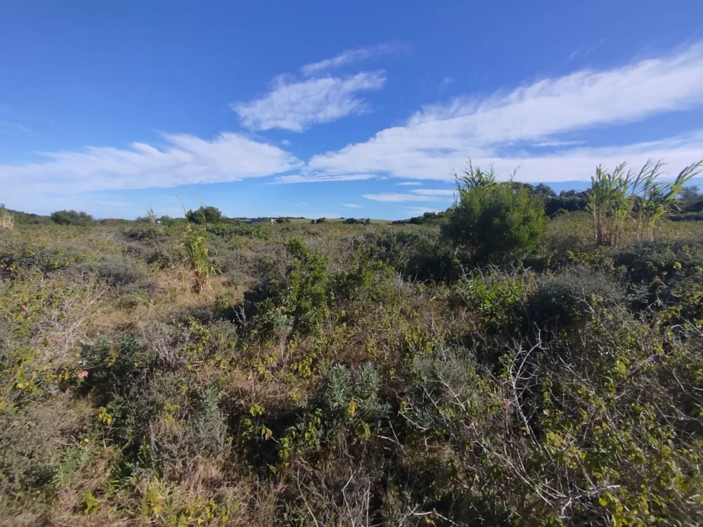 Vacant land for sale in Emerald Heights - 1PF1706566 Vacant land for sale in Emerald Heights - 1PF1706566
