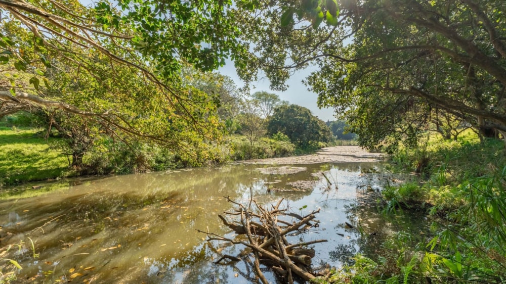 House for sale in Mount Edgecombe Country Estate - 1MT1706781 House for sale in Mount Edgecombe Country Estate - 1MT1706781