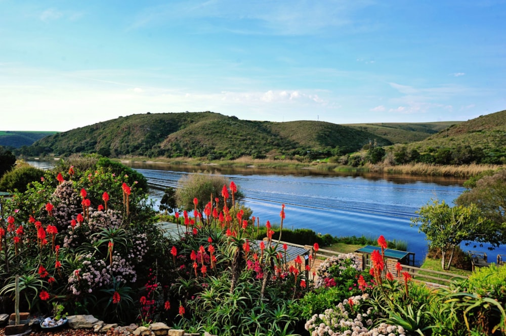 Double-storey house for sale in Malgas - 1SW1705074 Double-storey house for sale in Malgas - 1SW1705074