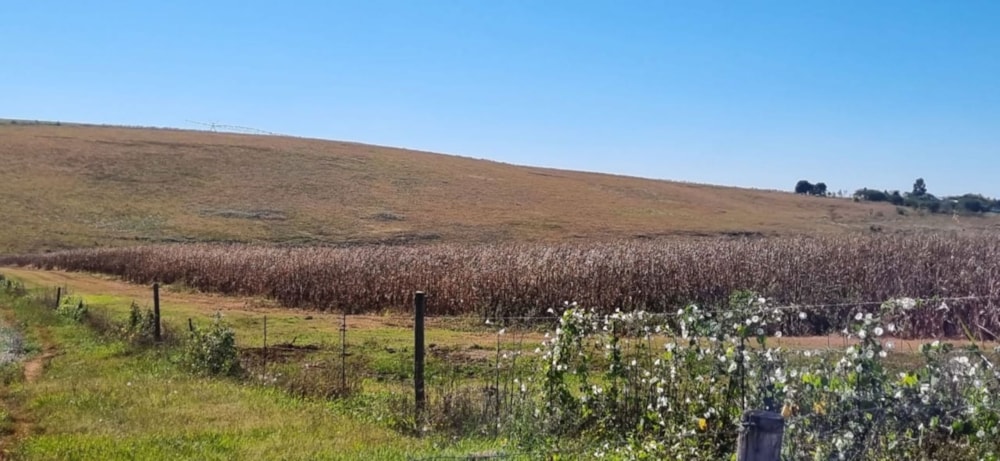 Farm vacant land for sale in Cathkin Park - 1PM1710705