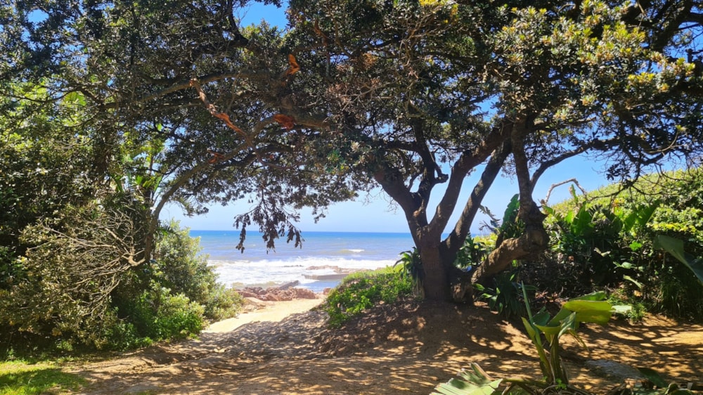 Residential vacant land for sale in Palm Beach - 1PD1711565 Residential vacant land for sale in Palm Beach - 1PD1711565