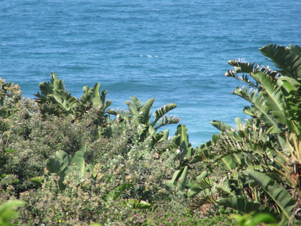 Residential vacant land for sale in Leisure Bay - 1PD1036231