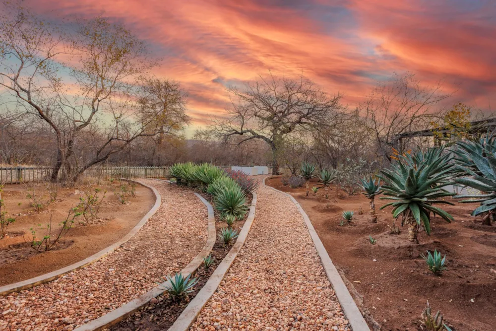 House sold in Hoedspruit Wildlife Estate - 1HS1665208 House sold in Hoedspruit Wildlife Estate - 1HS1665208