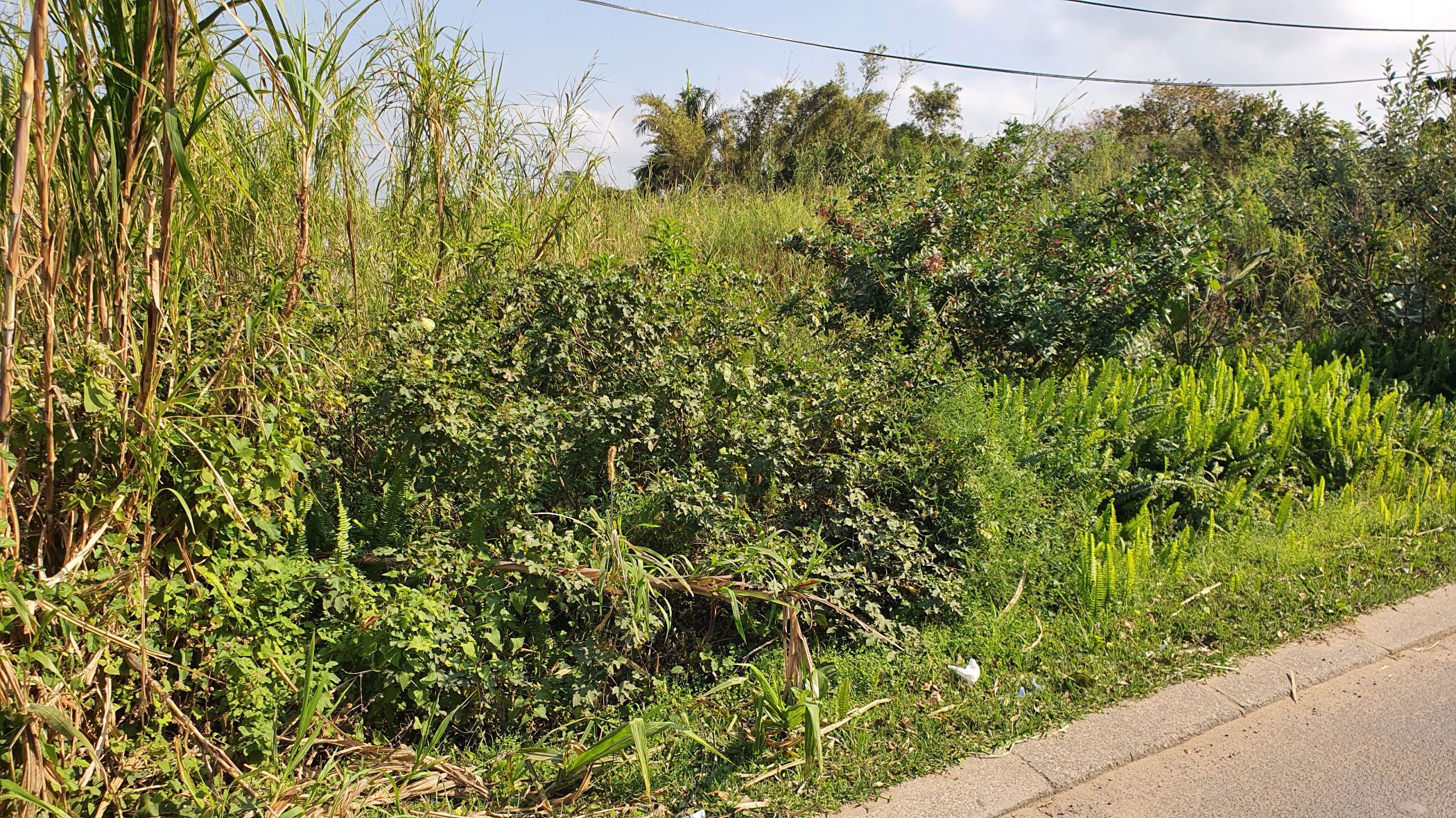 Residential vacant land for sale in Port Edward - 1PD1711289