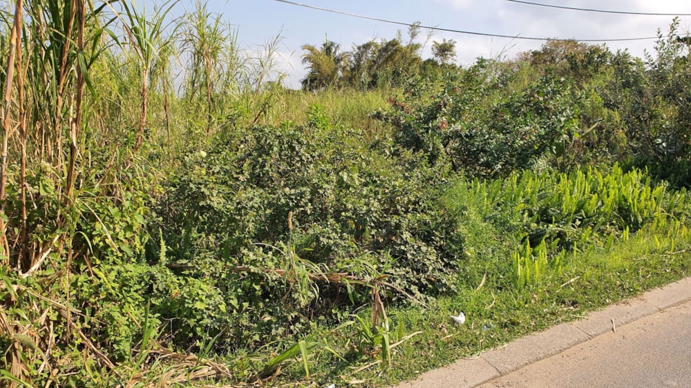 Residential vacant land for sale in Port Edward - 1PD1711289 Residential vacant land for sale in Port Edward - 1PD1711289