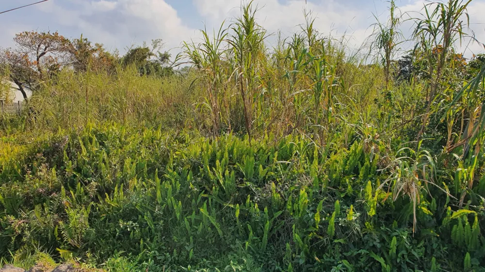 Residential vacant land for sale in Port Edward - 1PD1711289 Residential vacant land for sale in Port Edward - 1PD1711289