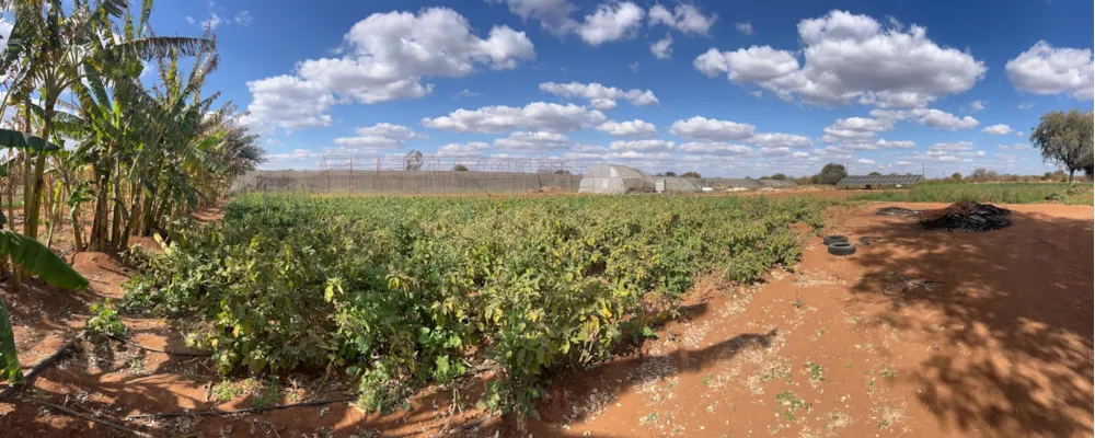 Mixed use farm for sale in Rasesa , Botswana - 3BO1573698 Mixed use farm for sale in Rasesa , Botswana - 3BO1573698