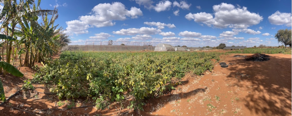 Mixed use farm for sale in Rasesa , Botswana - 3BO1573698 Mixed use farm for sale in Rasesa , Botswana - 3BO1573698