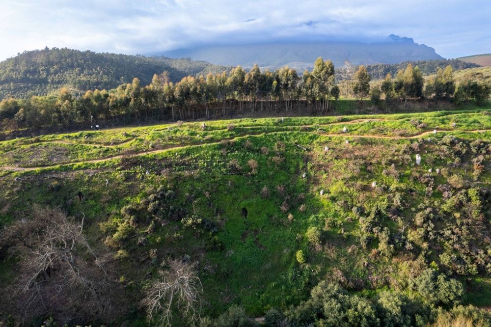 Vacant land for sale in La Roche - ST1711096