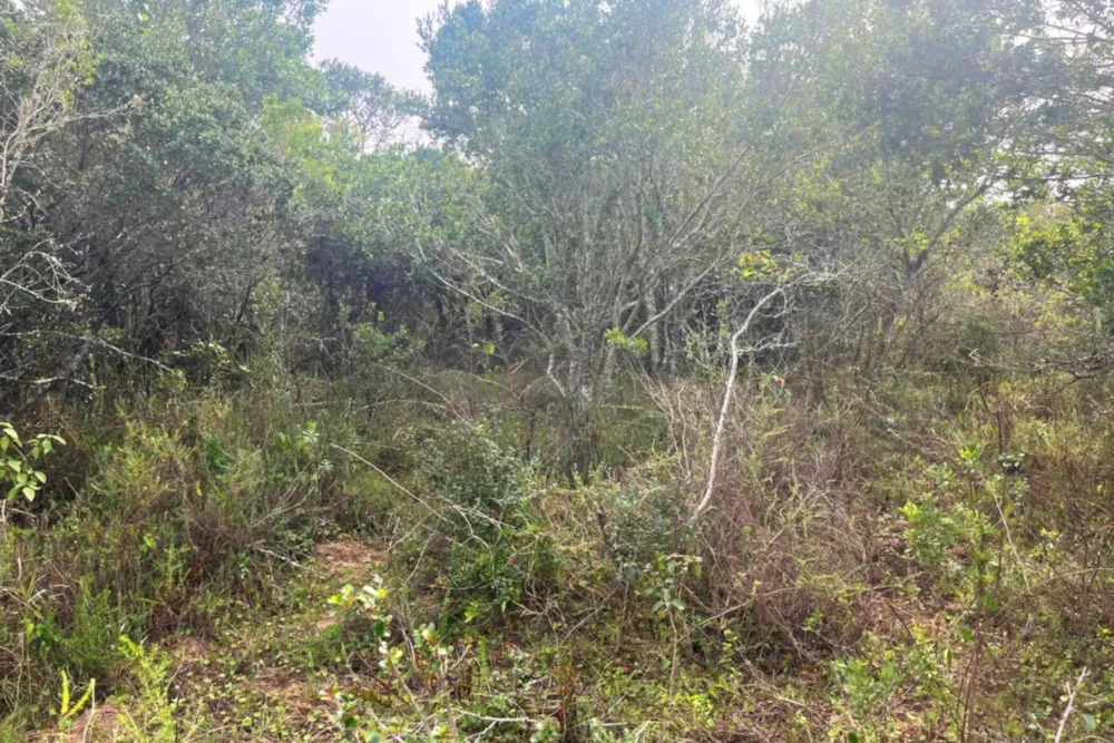 Residential vacant land for sale in Bathurst - 1PF1579767