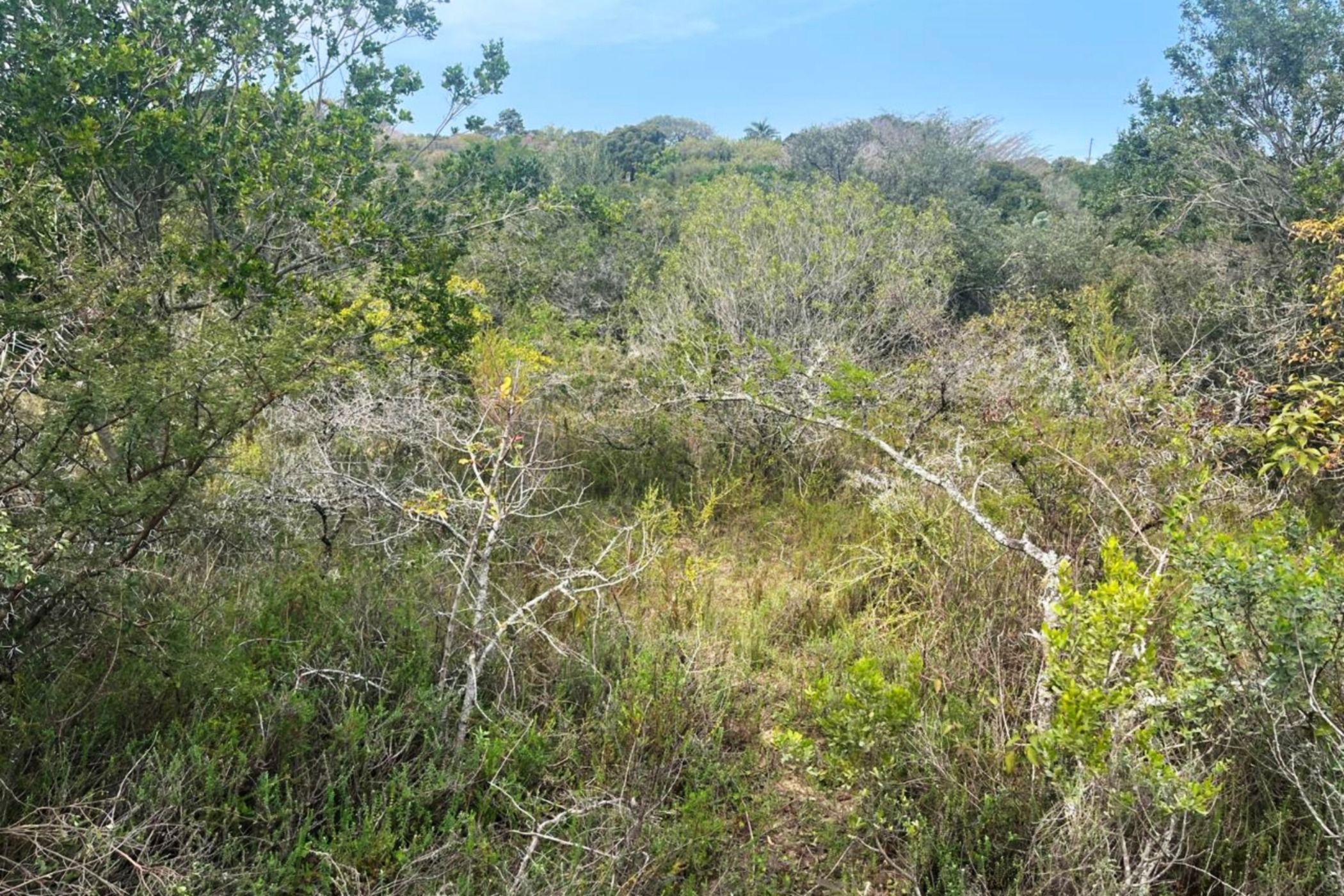 Residential vacant land for sale in Bathurst - 1PF1579767