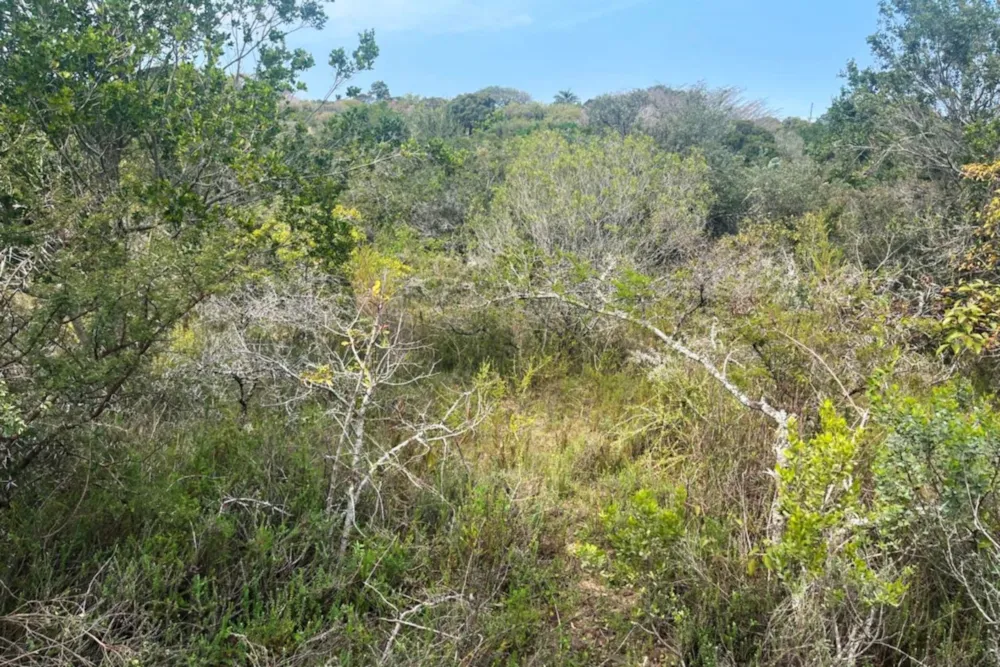 Residential vacant land for sale in Bathurst - 1PF1579767