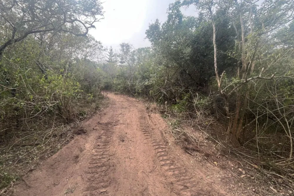 Residential vacant land for sale in Bathurst - 1PF1579767