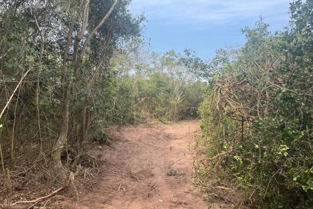 Residential vacant land for sale in Bathurst - 1PF1579767