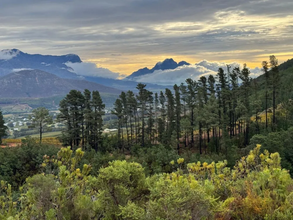 Smallholding sold in Franschhoek - FWI1697822 Smallholding sold in Franschhoek - FWI1697822