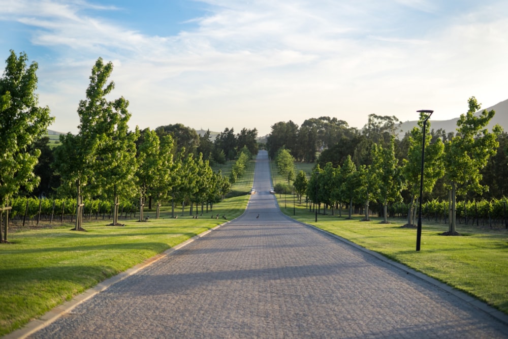 Residential vacant land for sale in Vini Fera at Anura - ST1616763 Residential vacant land for sale in Vini Fera at Anura - ST1616763