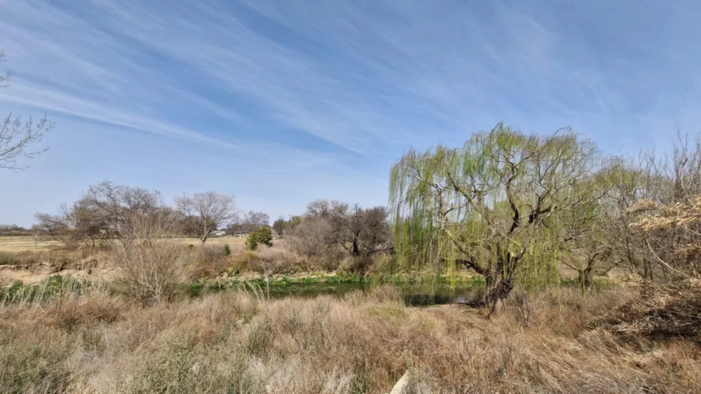 Smallholding sold in Roodewal - 1BX1712669