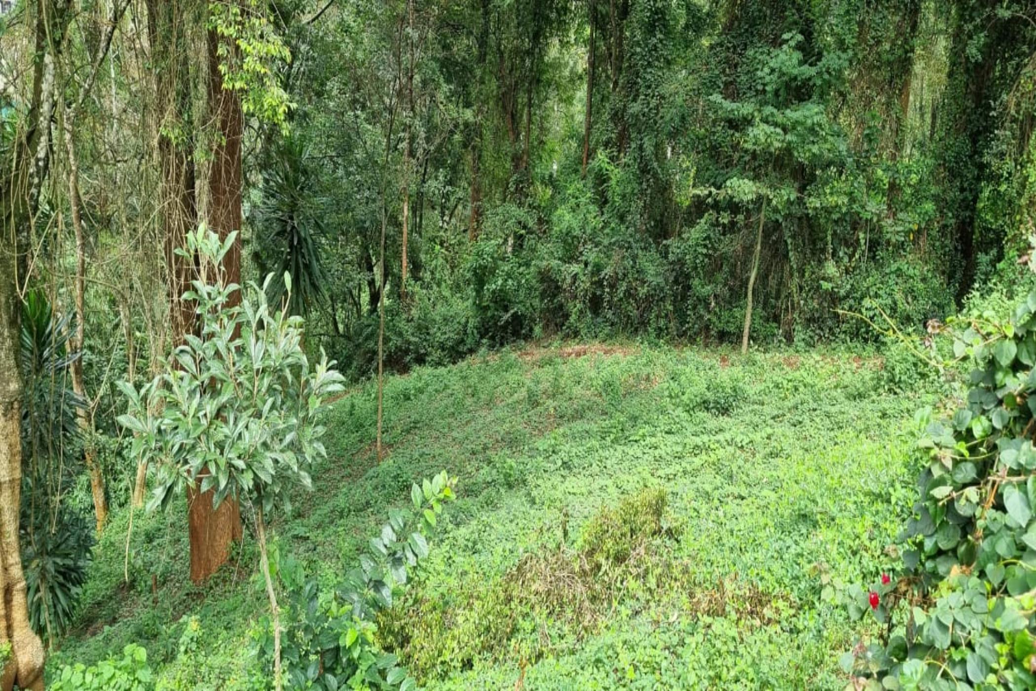 House for sale in Kitisuru, Kenya - 3KE1708873