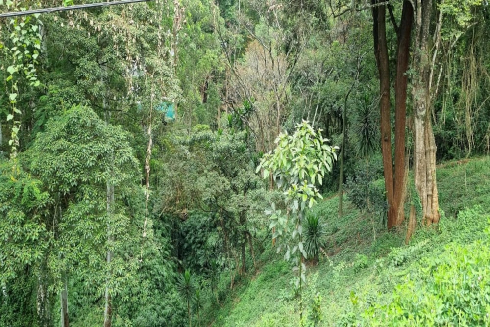 House for sale in Kitisuru, Kenya - 3KE1708873