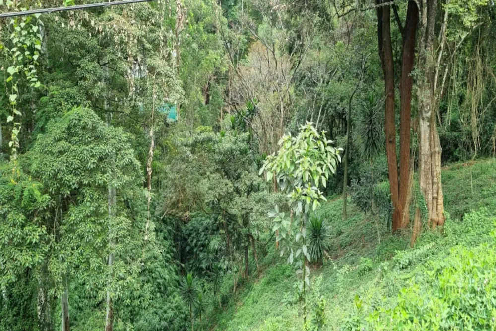 Residential vacant land sold in Kitisuru, Kenya - 3KE1739661 Residential vacant land sold in Kitisuru, Kenya - 3KE1739661